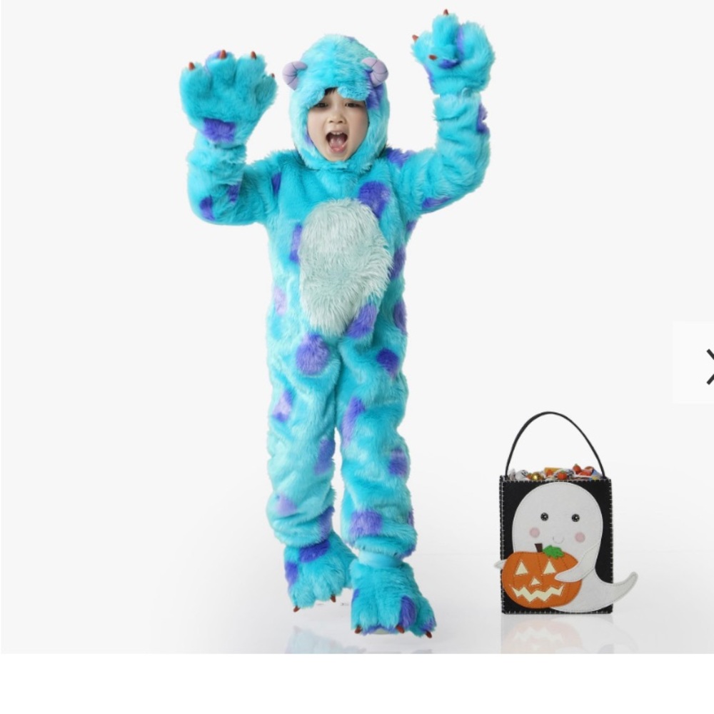 Pottery Barn Kids 3T sully Halloween costume